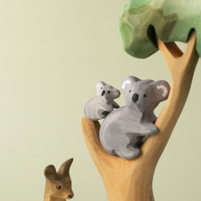 Koala Cub