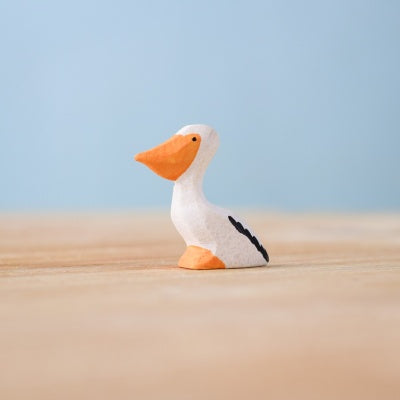 Pelican Chick