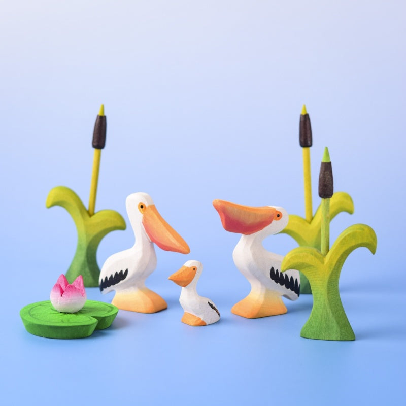 Pelican