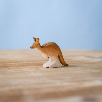Young Kangaroo