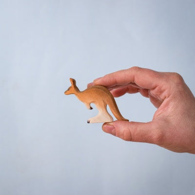 Young Kangaroo