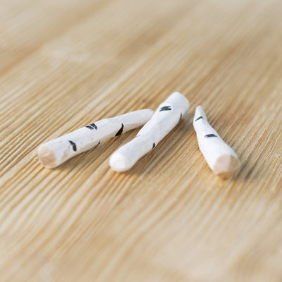 Birch Twigs
