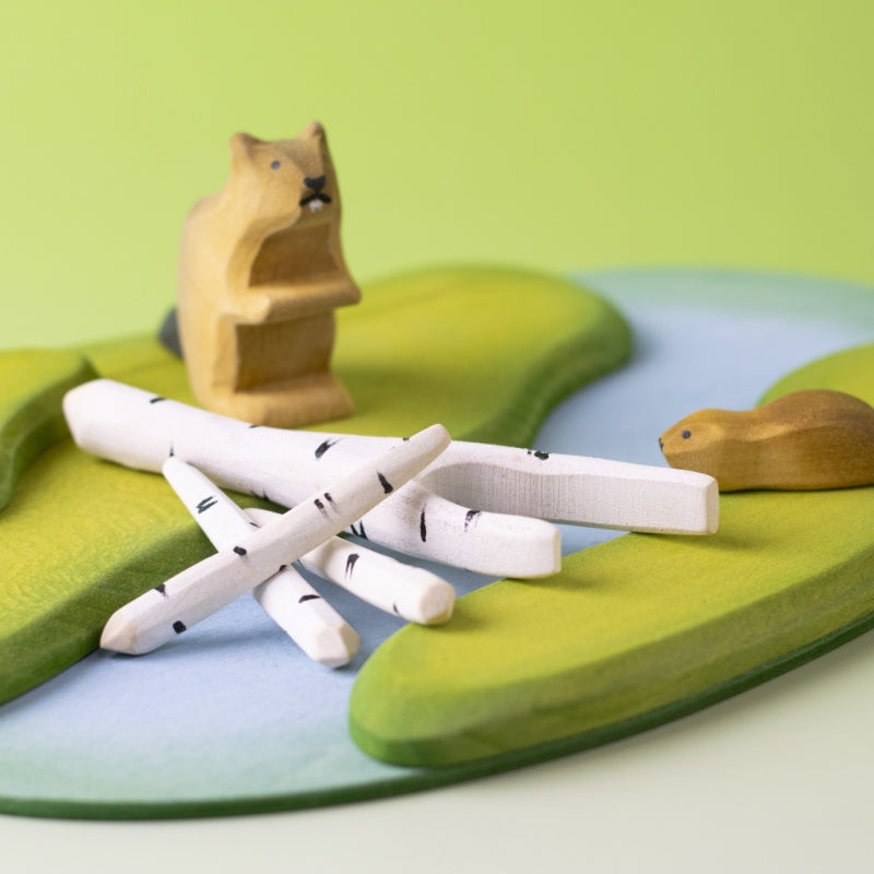 Birch Branch