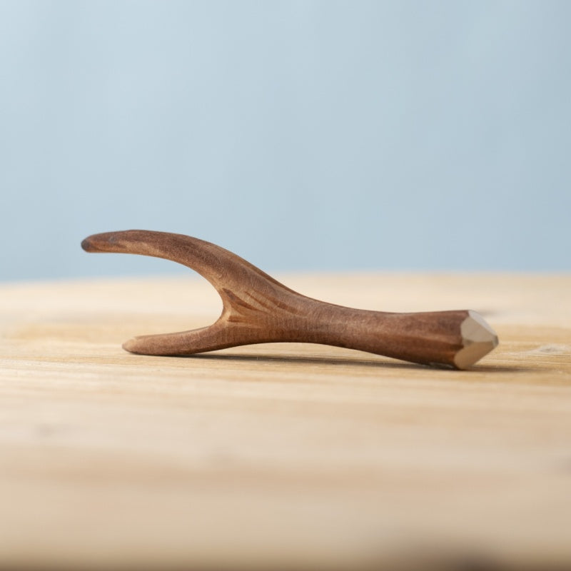 Black Poplar Branch