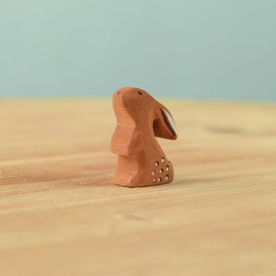 Curious Baby Rabbit