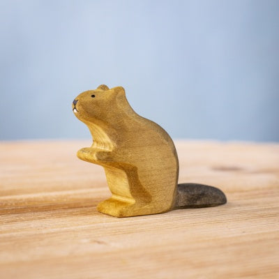 Beaver Sitting