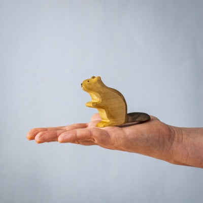 Beaver Sitting