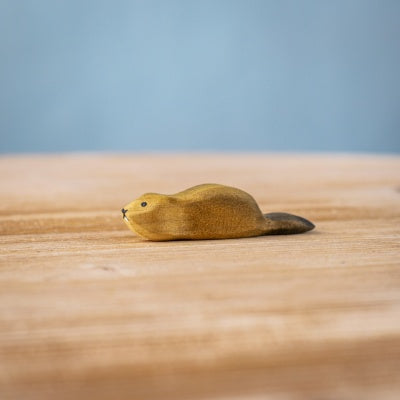 Baby Beaver