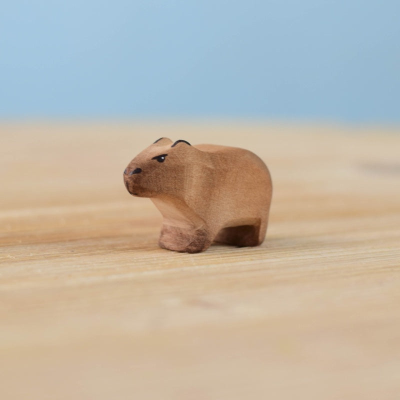 Baby Capybara