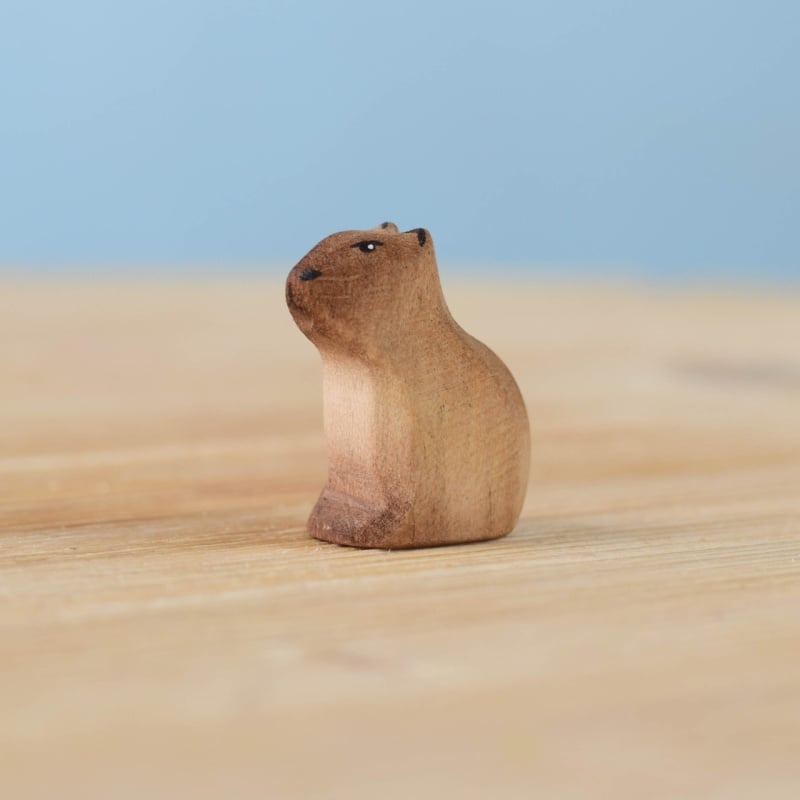 Baby Capybara Sitting