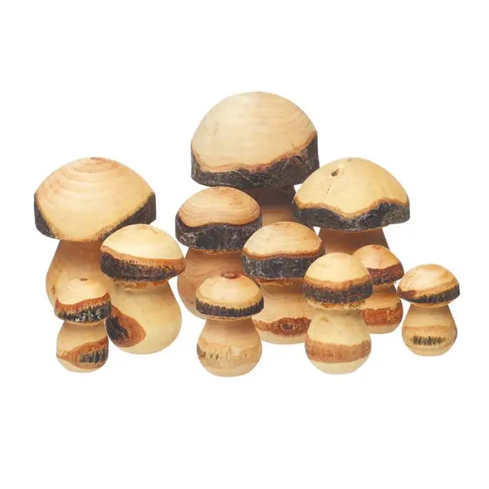 Toadstools Wooden Assorted Sizes