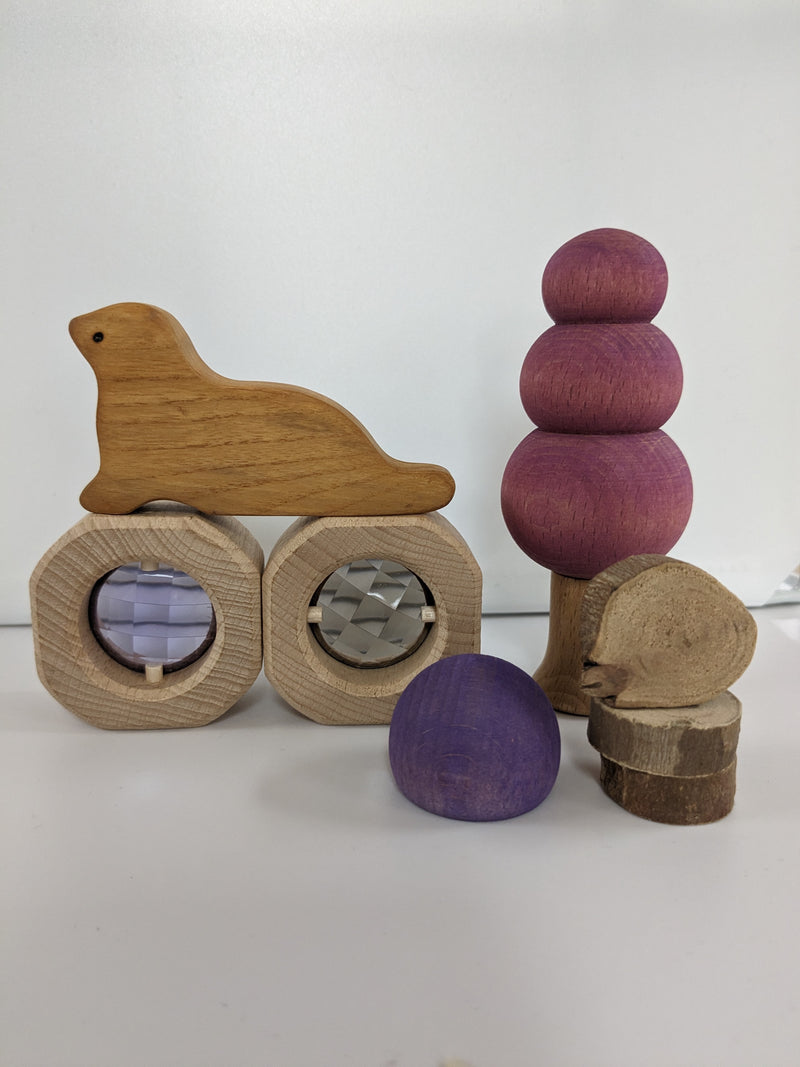 Small World Curiosity Set - G