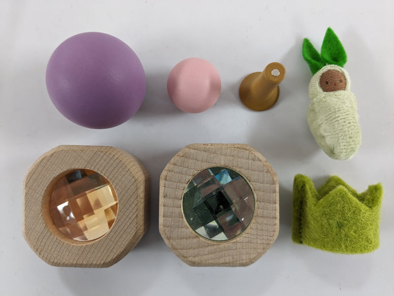 Small World Curiosity Set - L