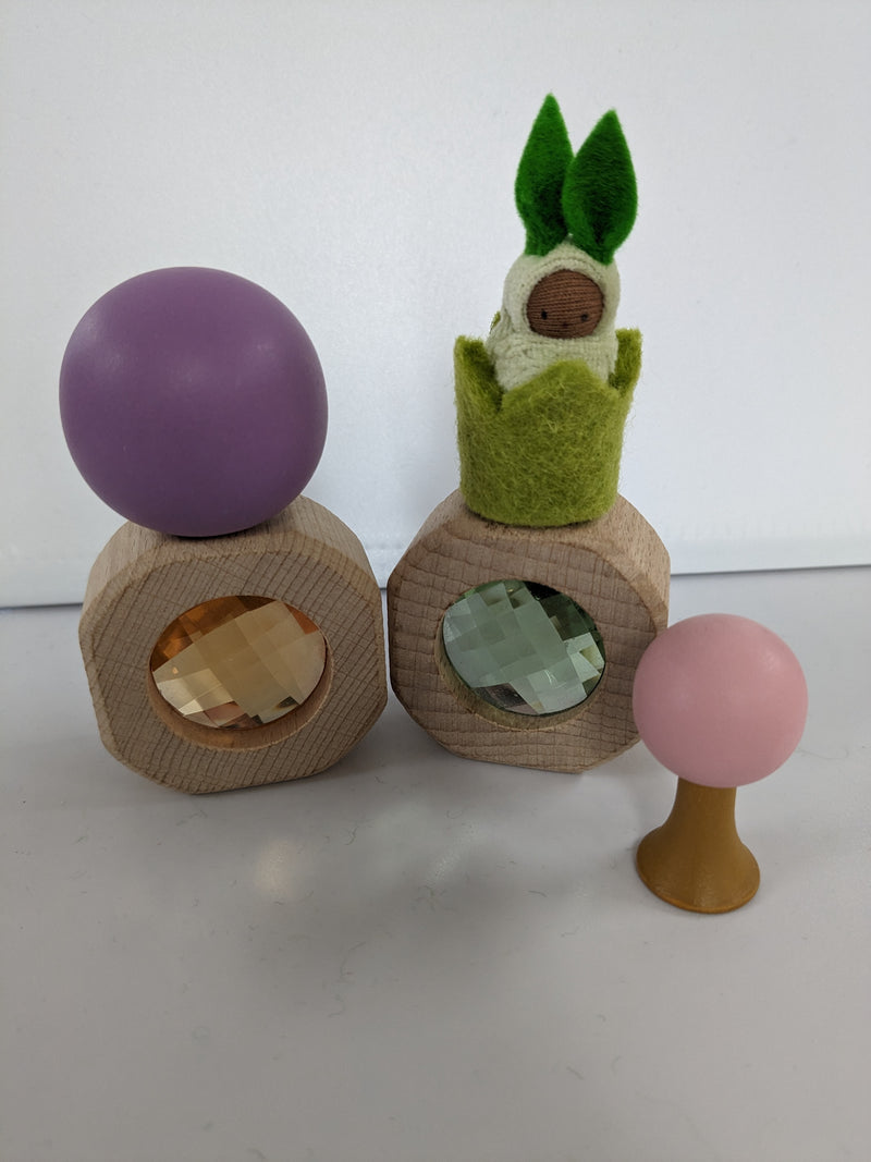 Small World Curiosity Set - L