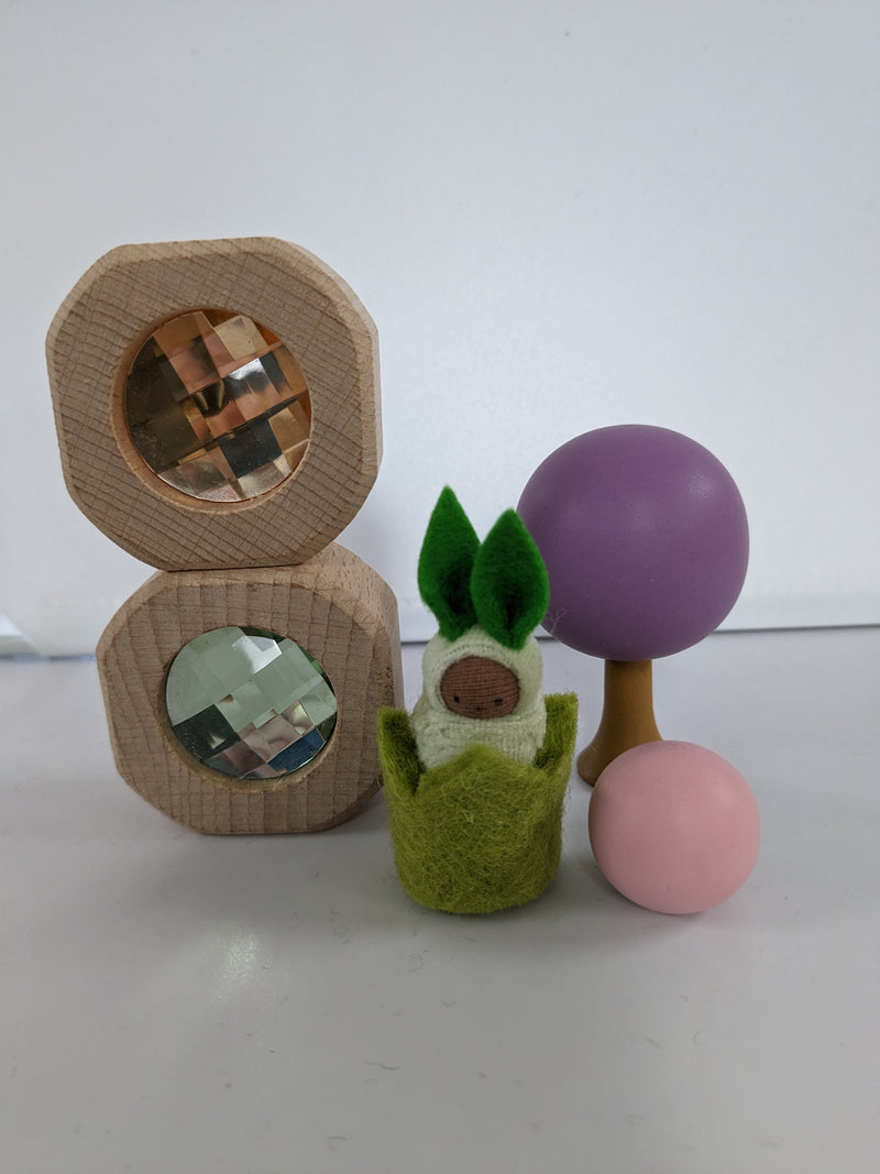 Small World Curiosity Set - L