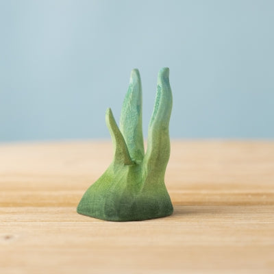 Small Seaweed