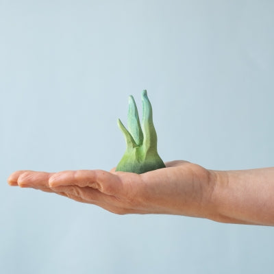 Small Seaweed