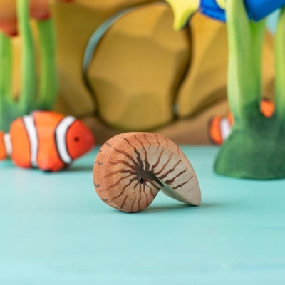 Spiral Shell