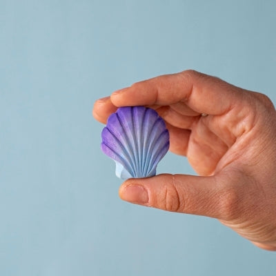 Violet Seashell