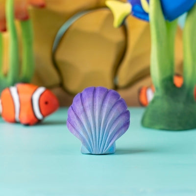 Violet Seashell