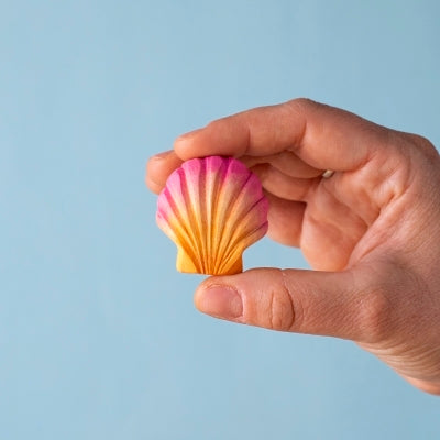 Orange Seashell with Pink Edges