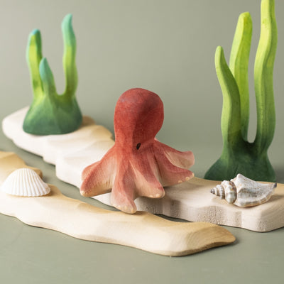 Octopus