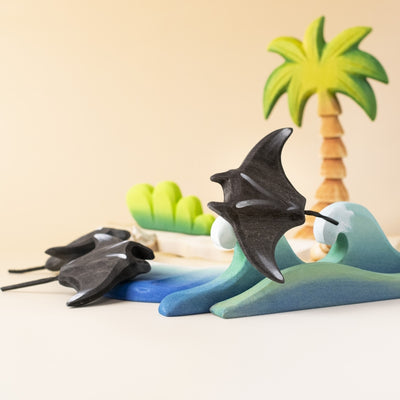 Reef Manta Ray