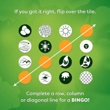 Animals Around the World Bingo