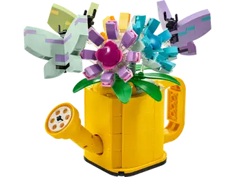 Flowers in Watering Can