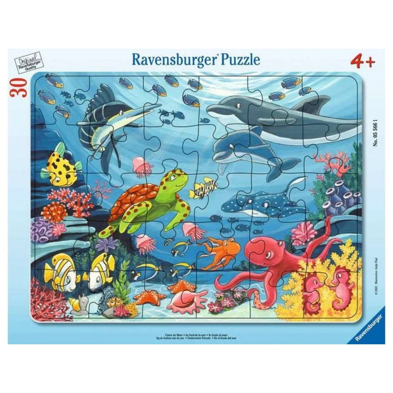 Jigsaw Puzzle- 30-48 pc