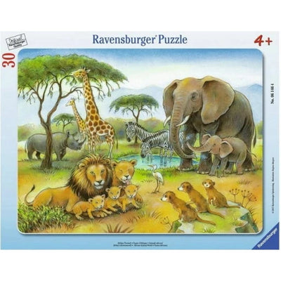 Jigsaw Puzzle- 30-48 pc