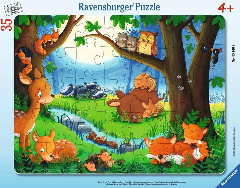 Jigsaw Puzzle- 30-48 pc
