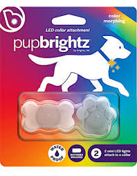 Pup Brightz:  Paw and Bone