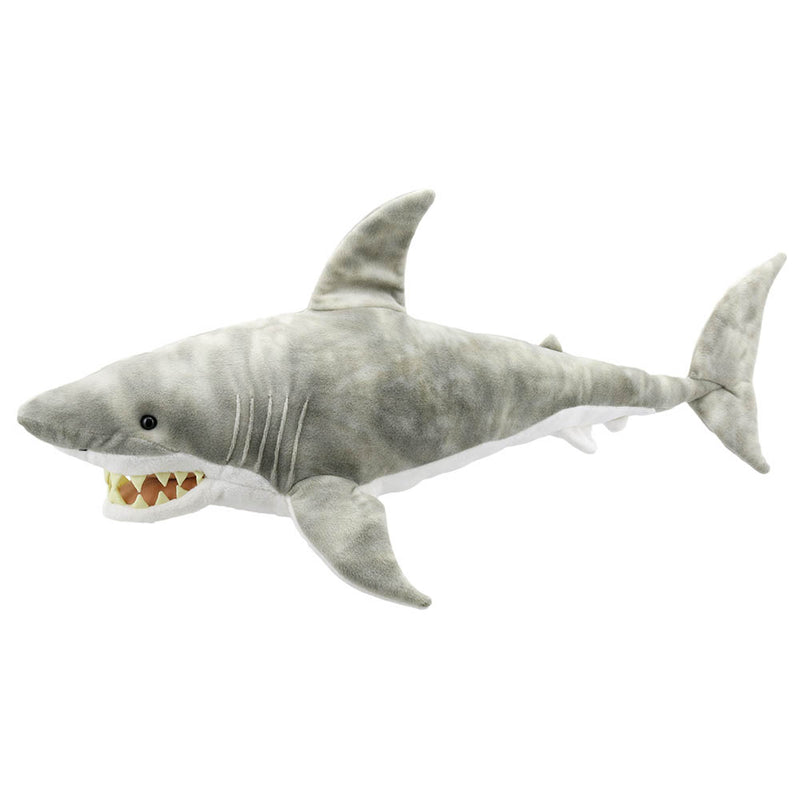 Shark – Large Creatures