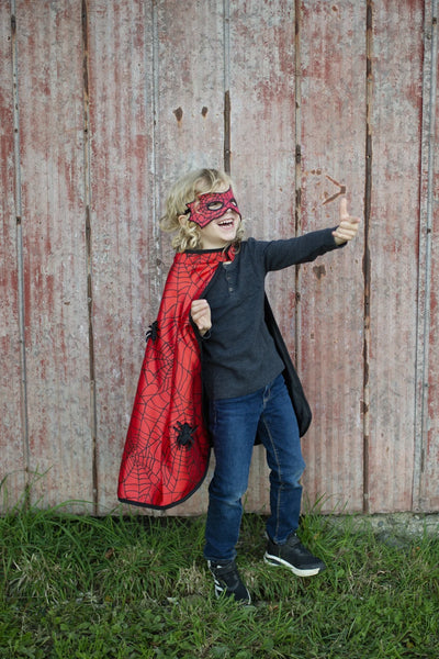 Spider/Bat Reversible Cape and Mask