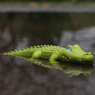 Little Friends Crocodile