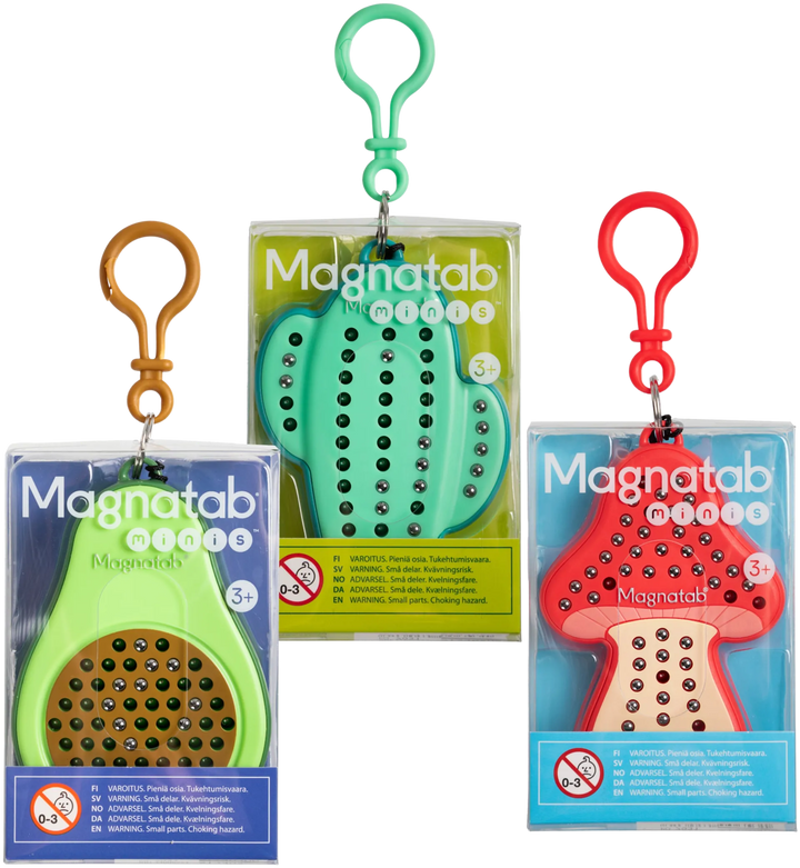 Magnatab Minis Assorted 24PC Magnet Toy – Flying Pig Toys