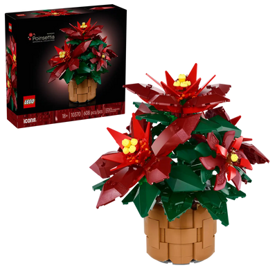 Poinsettia