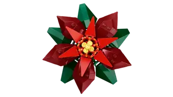 Poinsettia