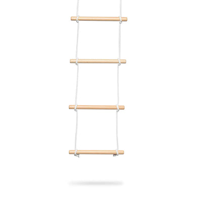 Climbing Ladder