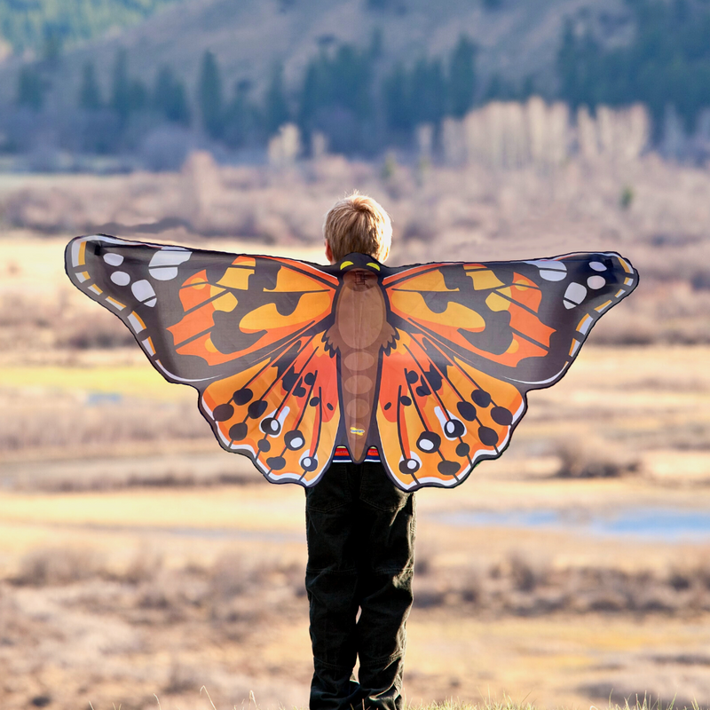 Dress Up Painted Lady Butterfly Wings