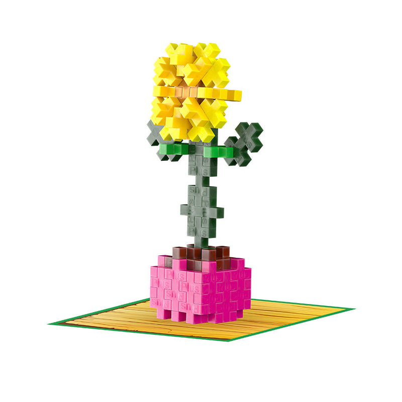 Playful Plant Packets - Variety of Styles