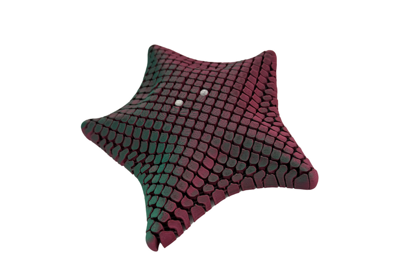 Articulated Starfish, Variety of Styles