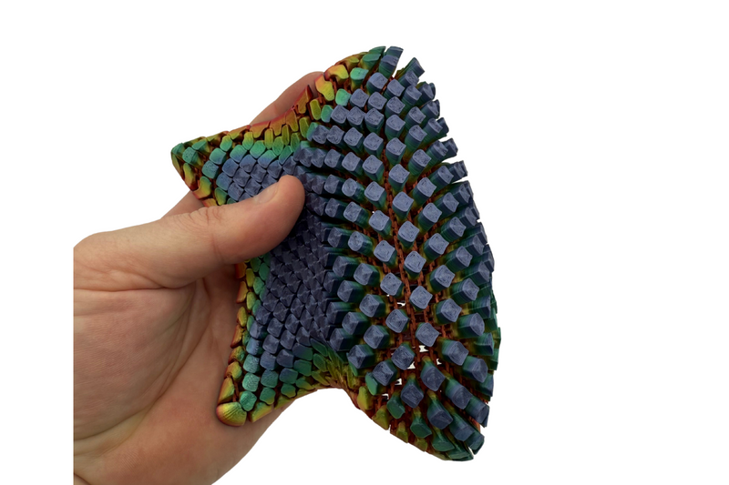 Articulated Starfish, Variety of Styles