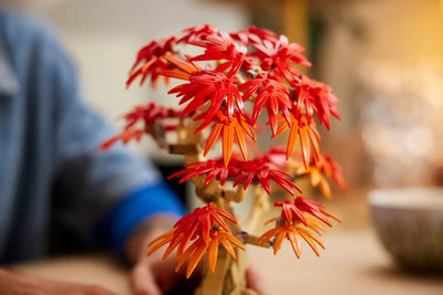 Lego Botanicals Japanese Red Maple Bonsai Tree