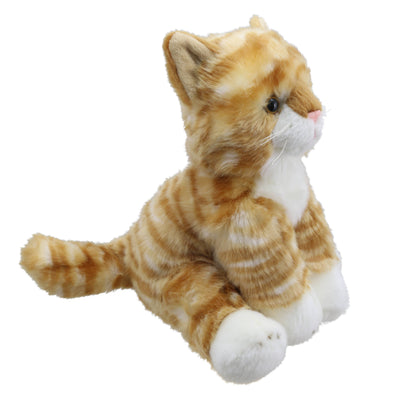 Wilberry Favourites - Cat (Ginger)