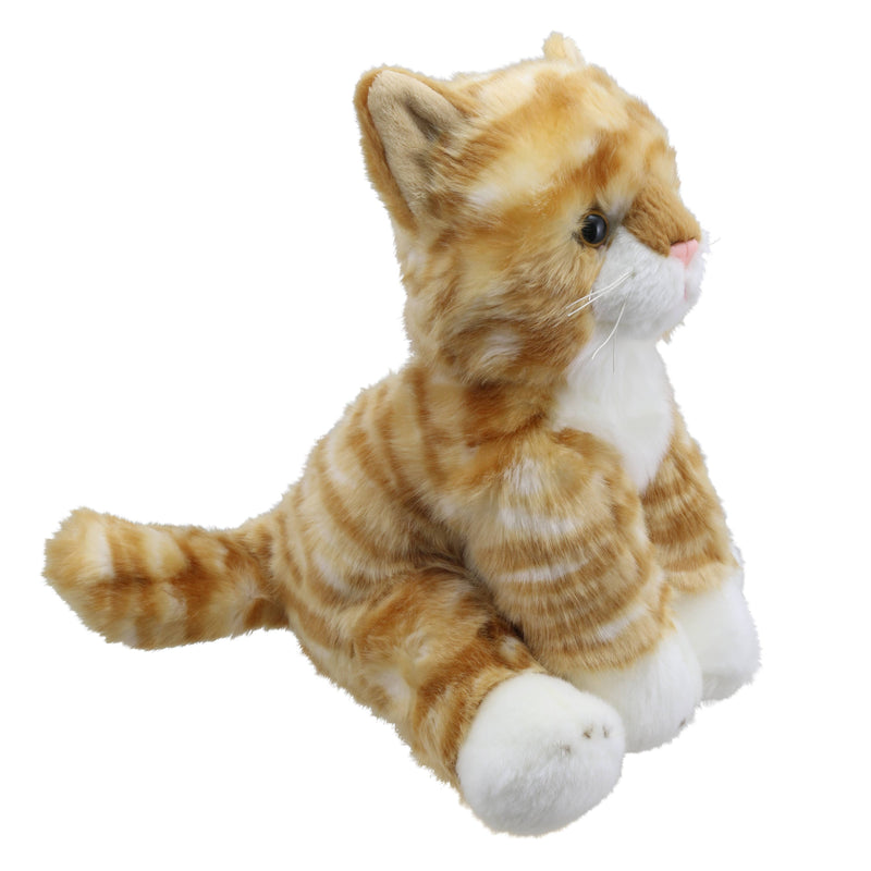 Wilberry Favourites - Cat (Ginger)
