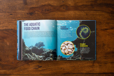 Kid Oceanographer: Discover Amazing Species