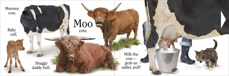 Moo by Matthew Van Fleet