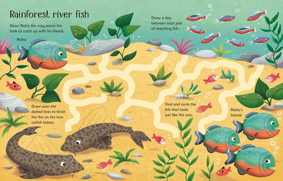 Wipe-Clean Aquarium Activities : Usborne